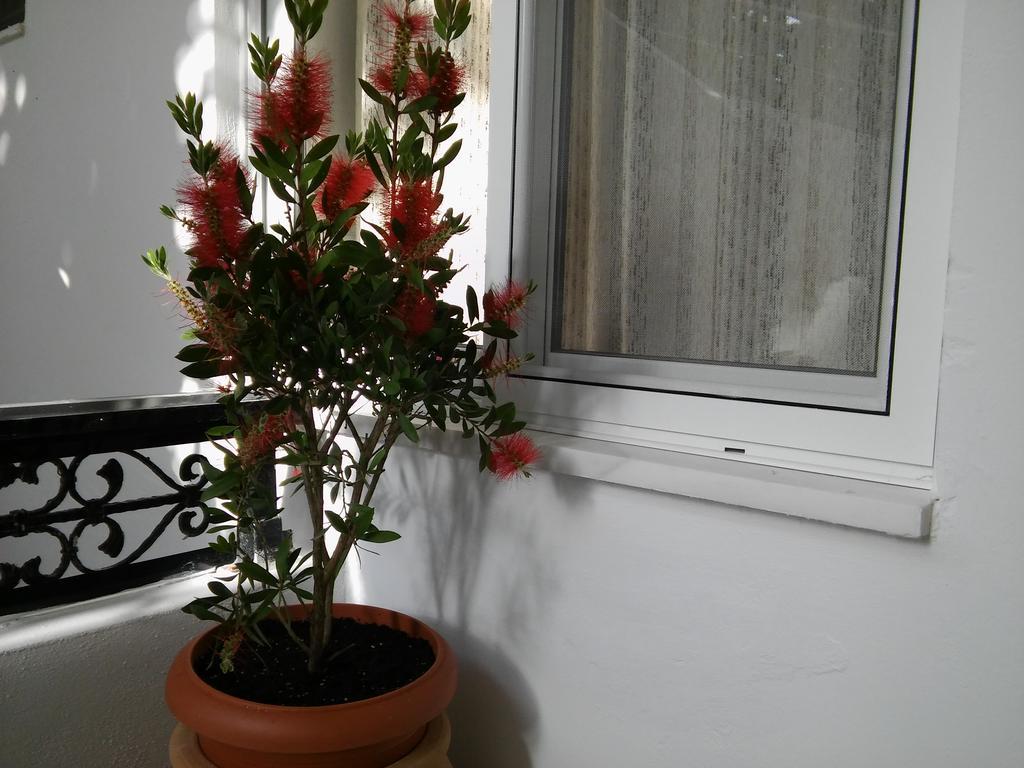 Maria Studios And Apartments Хараки Экстерьер фото